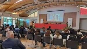 Academy legno